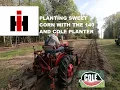 PLANTING SWEET CORN WITH THE 140 AND COLE PLANTER