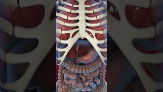 What Happens When You Don T Eat For A Week FASTING 