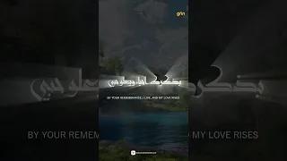 Emotional Arabic Nasheed يا رب Ya Rabbi Omor Bin Yasin New Islamic Song 2025 