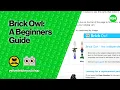 Brick Owl - A Beginners Guide Is It Worth It for LEGO Sellers