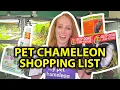 Everything you need for a pet chameleon