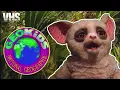 Full VHS Geo Kids 1994 - Cool Cats Raindrops and Things That Line In Holes