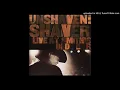 Billy Joe Shaver (Shaver) - Georgia On A Fast Train