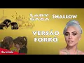 Download Lagu Lady Gaga, Bradley Cooper - Shallow (A Star Is Born) - VERSÃO FORRÓ