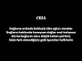 MASSAKA CEZA & DR.FUCHS - SOGUK MEVSIM SÖZLERİYLE / LYRİCS