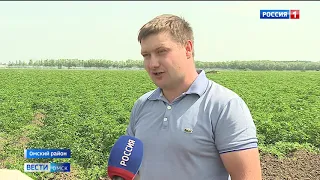 В 4 районах области объявлена ЧС в связи с засухой