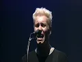 Die Ärzte - Schrei nach Liebe [LIVE Die Band die sie Pferd nannten]