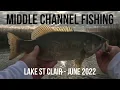 Lake St Clair Bass Fishing Middle Channel Harsens Island Using The Bass Forecast App