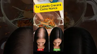 Cabello largo y fuerte con semilla de aguacate