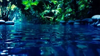Water Sounds for Sleep or Focus White Noise Stream 10 Hours
