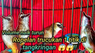 Download SUARA TRUCUKAN NAIK TURUN NADA ROPELAN DI 1 TITIK!! MP3