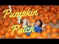 Pumpkin Patch at Murrieta California 2018