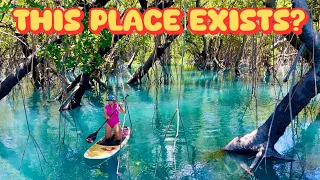 Sailing Lagoon 450 | Mangrove Magic, Percy Island Yacht Club & Crabbing Fails East Australia