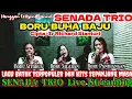 Download Lagu SENADA TRIO - Cover Lagu Batak \