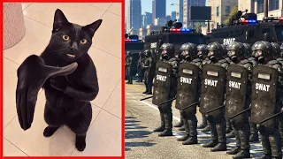Đội Đặc Nhiệm SWAT Chống Bạo Động ! Truy Tìm CON MÈO VỖ TAY CLAPPING CAT Cùng Đồng Bọn Gây Náo Loạn