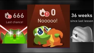 DUOLINGO WIDGETS but they get progressively WORSE