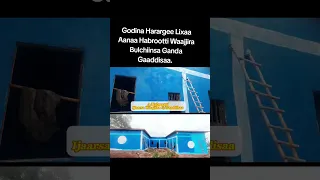 Godina Harargee Lixaa Aanaa Habrootti Waajjira Bulchiinsa Ganda Gaaddisaa 
