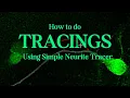 Neurite Tracings using SNT