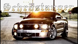 Turning My Old Mustangs Into Monsters