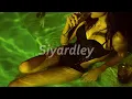 Tyla, Travis Scott - Water (Remix) (s l o w e d + r e v e r b)
