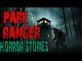 Download Lagu Scary Park Ranger Stories for a Dark Fall Night | Forest Ranger, National Park, Missing Person