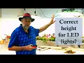 Download Lagu The Secret to Growing Under LED Lights - The Correct Height?