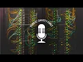 Episode 34 Inside the FirstNet Core