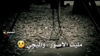 سيد فاقد تانيني يمك راح اجي 
