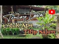 Download Lagu Sweet Memories UNTUK APA KAU TITIP SALAM  by NELLA REGAR