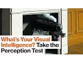 Take This Perception Test to See How Visually Intelligent You Are Amy Herman Big Think