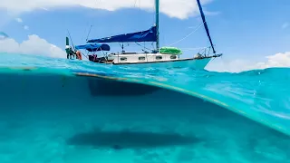 Sailing with Sharks