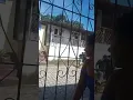 Download Lagu Velina quer bater em Tatti maluca da cidade de palha, Aratuipe
