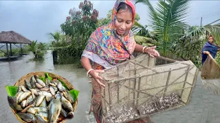বন্যায় প্রচুর মাছ ধরলাম রান্না হলো বেগুন দিয়ে কই মাছের ঝাল আর পুঁইশাকের ঘন্ট