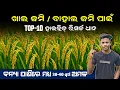 Research verity dhana | ଖାଲ ଜମି ପାଇଁ ଧାନ ବିହନ | Dr Farming Tv
