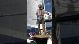 Sailors Wake Up–Flying Fish Cleanup & Day Prep!  #boatinglife #sailing #classicboat
