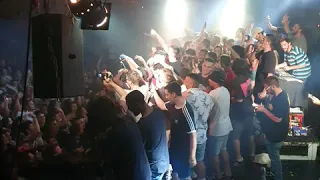 מדינה של גנבים עטר מיינר בבארבי 29 08 2019 