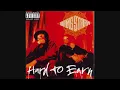 Gang Starr feat. Nice & Smooth - DWYCK