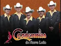 Belleza de Cantina-Los Cardenales de Nuevo Leon