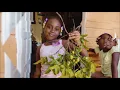 NO NEED TO HURRY (Tek It Easy)-  HOPETON LEWIS | Performed by the YARDY VIBES mento band.