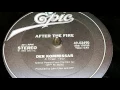 After The Fire - Der Kommissar [Special Version] (1982)