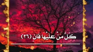 حالات واتس اب قرآنية كل من عليها فان بصوت يرح القلب 