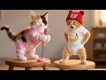 Lagu Stray Kitten Shows Off His Terrible Singing, Driving Little Sibling Crazy with Laughter! 🎤😹🎶