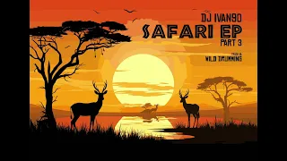 dj ivan90 wild drumming original mix 2024