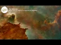 Steve Aoki & Timmy Trumpet & DJ Aligator - The Whistle (Lyrics)