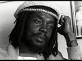 Peter Tosh - The Poor Man Feel It