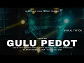 DJ GULU PEDOT - PARTY STYLE VIRAL TIKTOK 2K25 YANG KALIAN CARI!!! - ARDHA ID