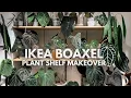 Building the plant shelf of my dreams