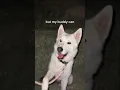 Say Hi
