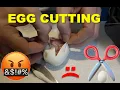 Worst Luck He Didn t Prove Out Ball Python Egg Cutting
