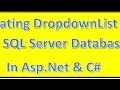 Connecting to SQL Server database and adding values to a Dropdownlist using ASP Net and C
